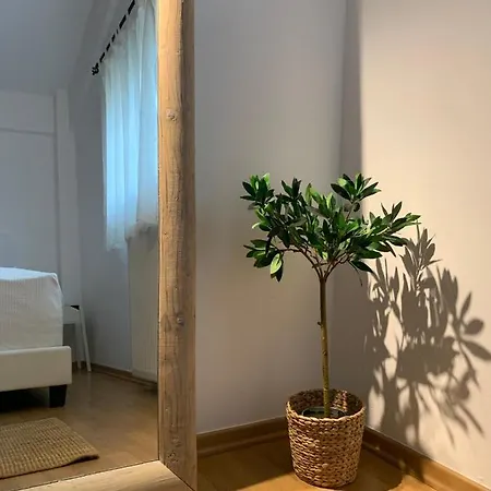 Casa Brucie - New Stylish In Corfu! *